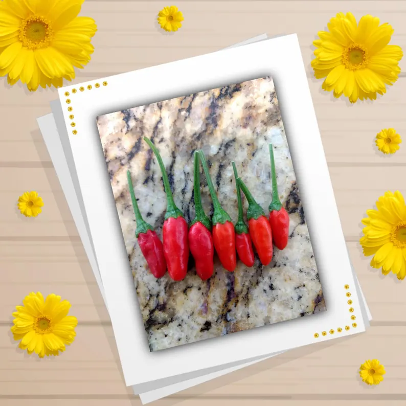 If you're looking to grow your own chili peppers, the SpicyHead Etsy shop offers a variety of productive chili seeds ideal for container gardening. One noteworthy option is the Pequin pepper (Capsicum annuum), a small yet very hot chili pepper that measures between 30,000 and 60,000 Scoville heat units.